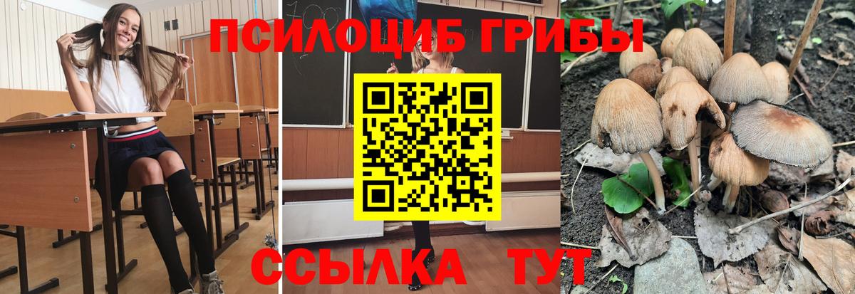 Галлюциногенные грибы прущие грибы  Галлюциногенные грибы мицелий  Вход с VPN  Щёкино 