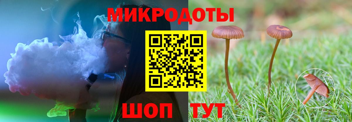 Псилоцибиновые грибы прущие грибы Щёкино